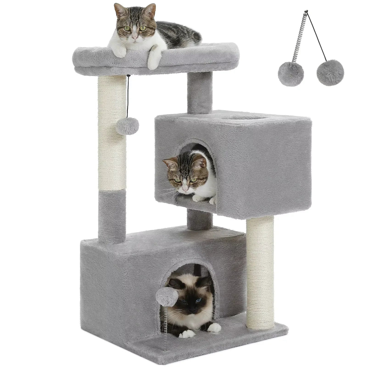 Cat essentials and indoor cat furniture