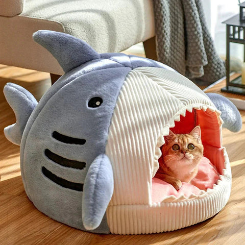 Beds & Comfort