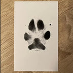 Non-Toxic Pet Footprint Pad - Capture Your Dog's Paw Prints Safely!