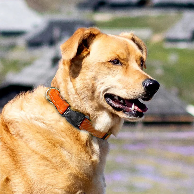 Adjustable Reflective Nylon Pet Collar for Dogs and Cats - Anti-Slip, Anti-Choke, Durable Walking Accessory